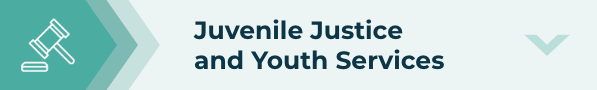 Juvenile justice and youth services