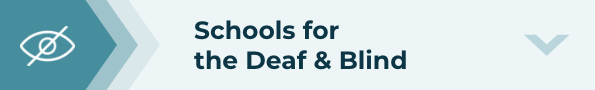 schools for deaf and blind